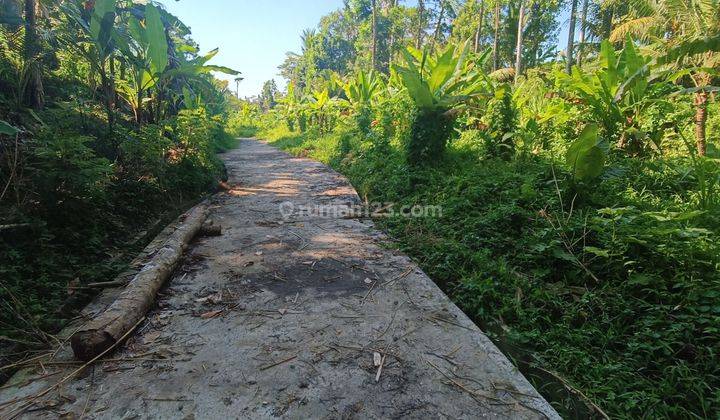 TANAH VIEW JUNGLE PALING MURAH DI UBUD AREA  1