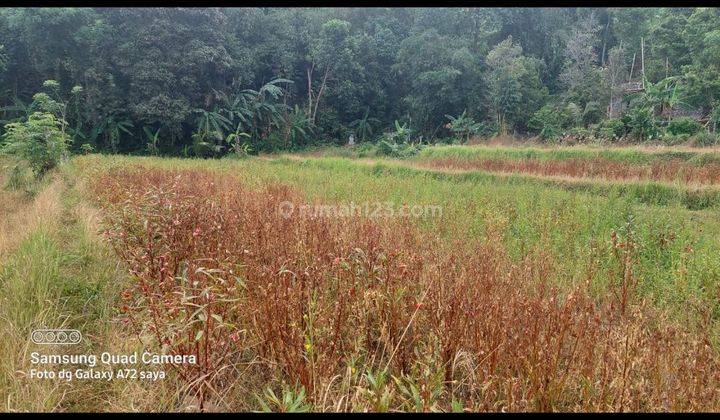 TANAH COCOK INVESTASI DI PANJI BULELENG VIEW CANTIK  2