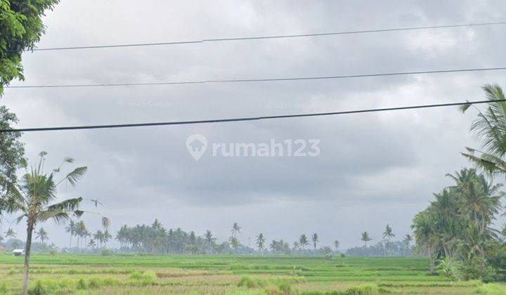 TANAH VIEW SAWAH CANTIK LINGKUNGAN RESORT DAN VILLA  1