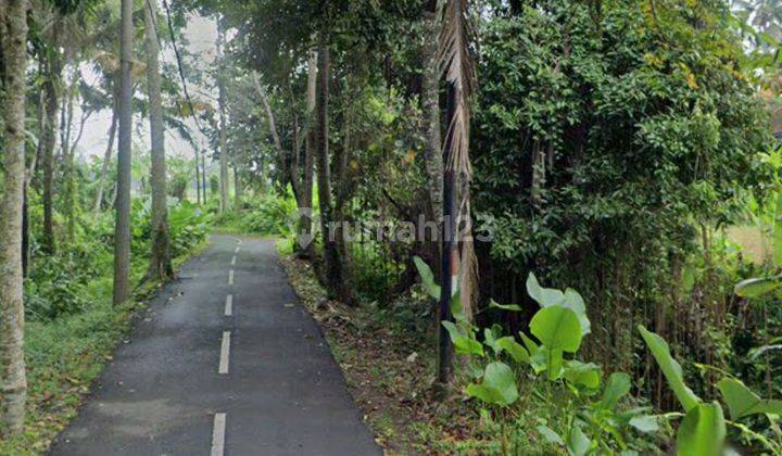 TANAH SEWA ZONA KUNING VIEW SAWAH TERASERING KEREN 2