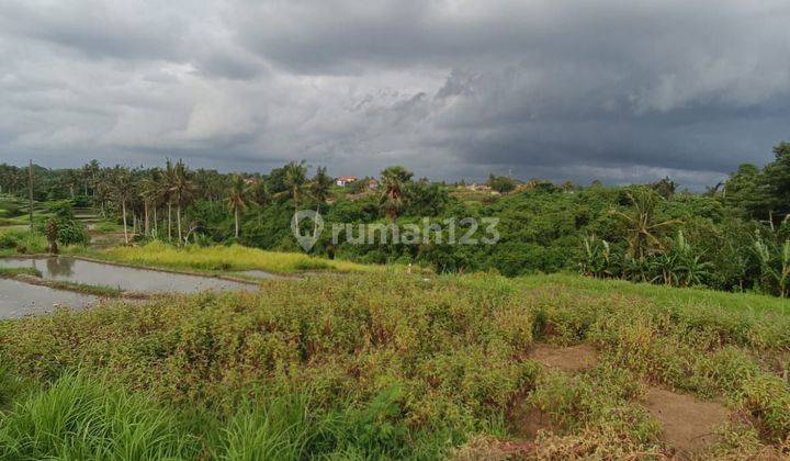 Tanah View Sawah Terasering Dan Gunung Agung 1