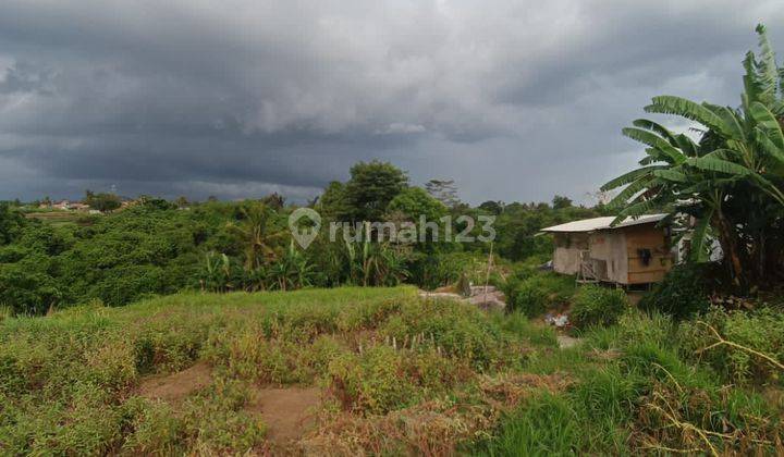 Tanah View Sawah Terasering Dan Gunung Agung 2