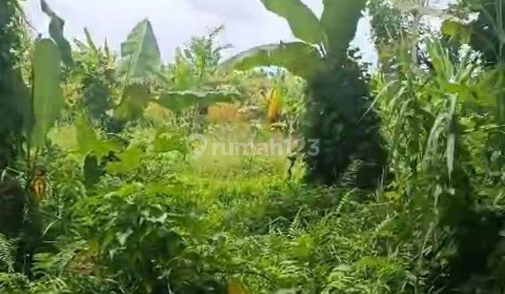 TANAH TERMURAH DI CENTER UBUD VIEW SAWAH DAN LOS SUNGAI  1