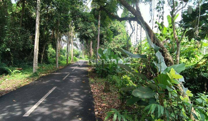 TANAH SEWA COCOK VILLA RENTAL VIEW ABADI SUPER KEREN  1