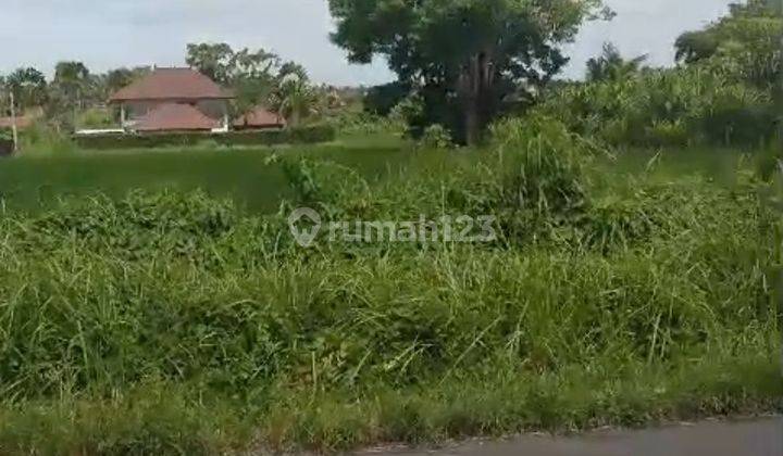 TANAH PINGGIR JALAN UTAMA COCOK RESTORAN DAN KOMPLEK VILLA 2