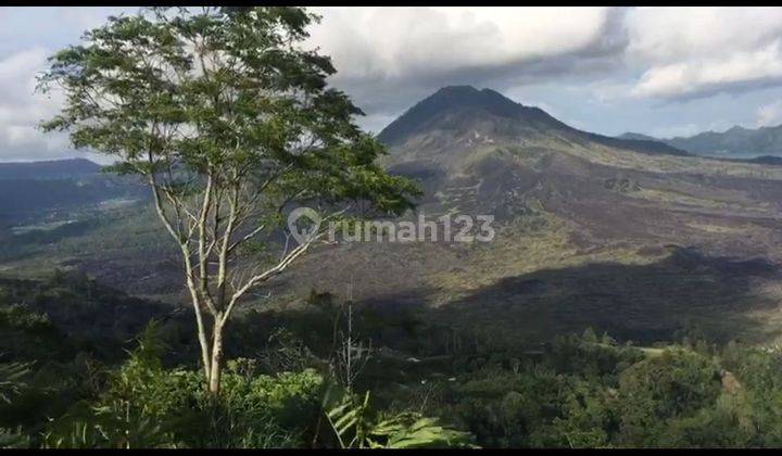 LAND WITH THE COOLEST VIEW IN KINTAMANI SUITABLE FOR ALL BUSINESSES  2