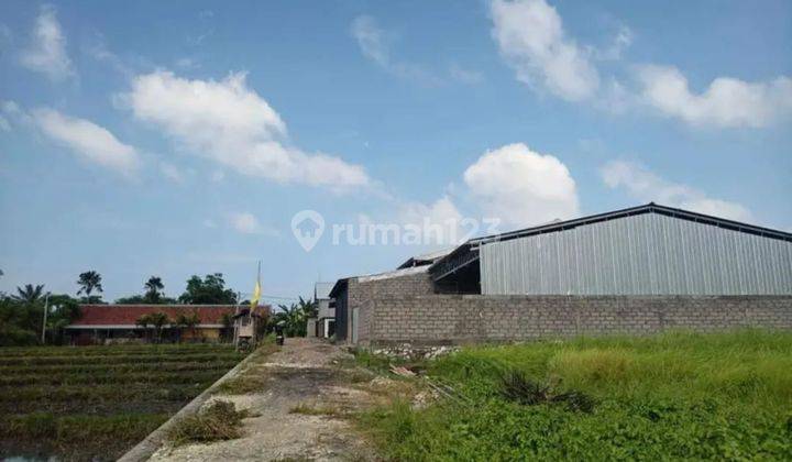 Tanah Murah Di Kerobokan View Sawah Cocok Villa Rental  1