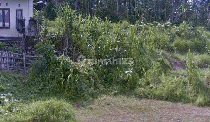 TANAH VIEW SAWAH DALAM KOMPLEK VILLA MEWAH UBUD 1