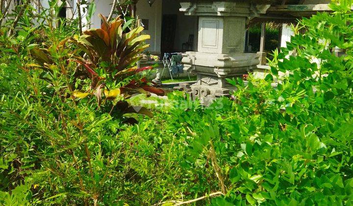 TANAH VIEW SAWAH CANTIK LINGKUNGAN VILLA HARGA MURAH 2