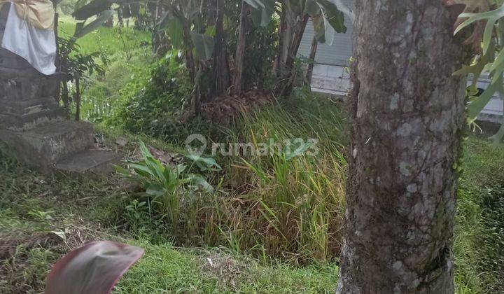 SMALL LAND FOR RENT IN UBUD CENTER READY TO BUILD 2