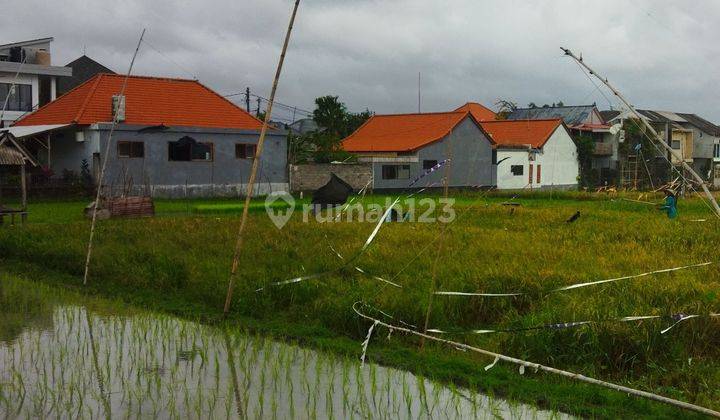 CHEAPEST SMALL SIZE RICE VIEW LAND IN UMALAS BUMBAK 1