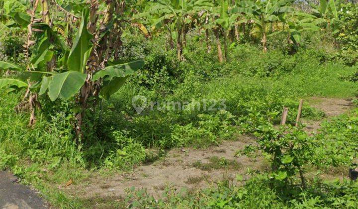 TANAH SIAP BANGUN VILLA RENTAL DI MAS UBUD  1