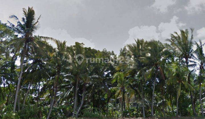 LAND LOS SUNGAI VIEW JUNGLE RICE POWDER BEAUTIFUL SUNRISE IN UBUD 2