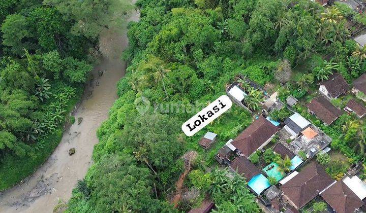 SMALL LAND FOR RENT IN LODTUNDUH UBUD READY TO BUILD A VILLA 2