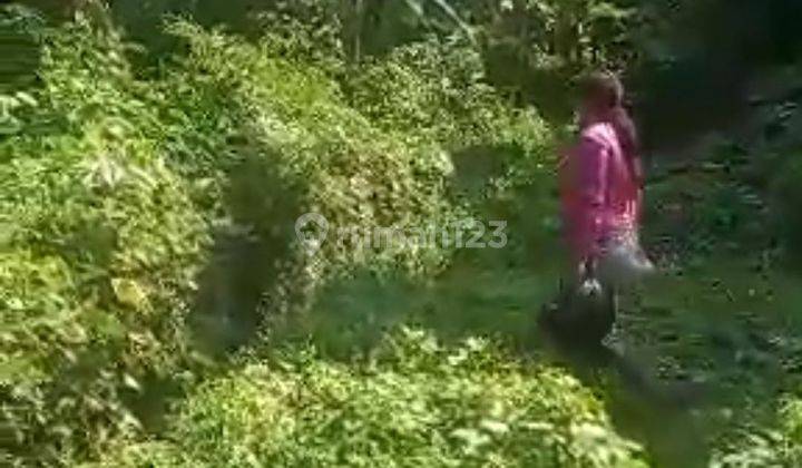 TANAH KAVLING MURAH DI BLAHBATUH DEKAT UBUD  1