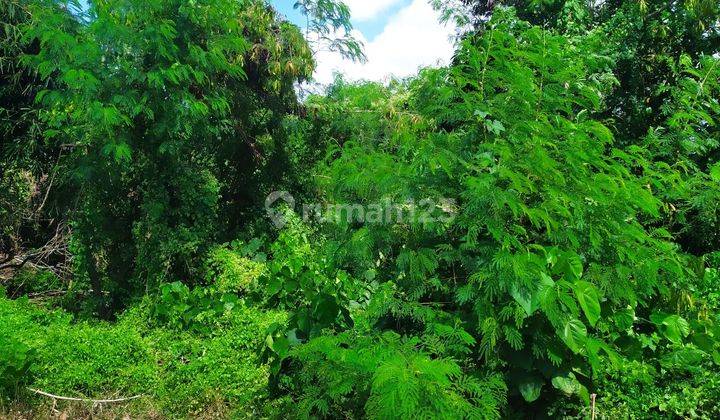 TANAH VIEW HUTAN ABADI HARGA MURAH COCOK VILLA RENTAL  1