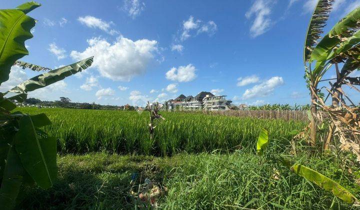 TANAH DEKAT PANTAI VIEW SAWAH CANTIK HARGA TERMURAH  2