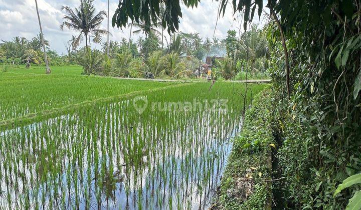 SUPER BEAUTIFUL VIEW LAND SUITABLE FOR VILLA RENTAL IN UBUD 1