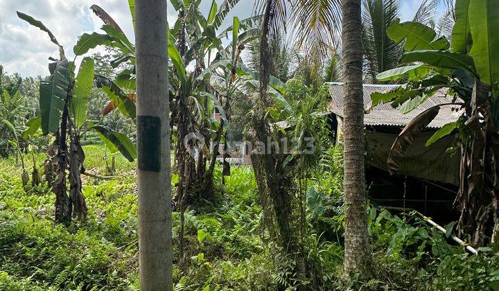 LAND FOR RENT YELLOW ZONE AROUND VILLA READY TO BUILD 2