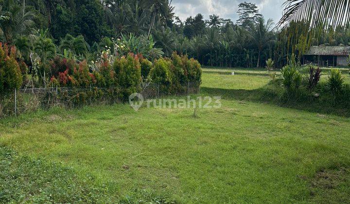 LAND FOR RENT BEAUTIFUL RICE FIELD VIEW VILLA ENVIRONMENT 2