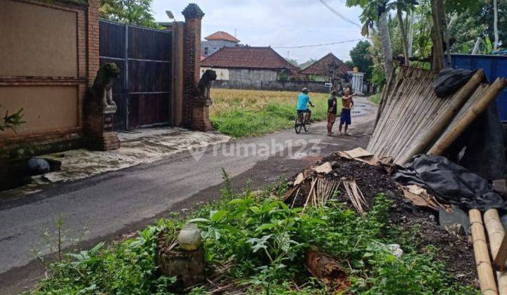 TANAH VIEW SAWAH JALAN MOBIL PAPASAN HARGA MURAH  1