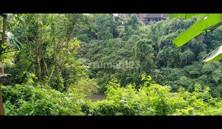 TANAH LOS SUNGAI WOS VIEW HUTAN KEREN HARGA MURAH DI UBUD  2