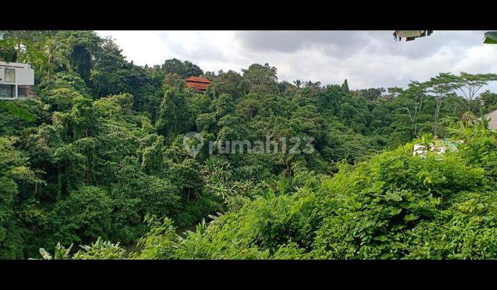 TANAH LOS SUNGAI WOS VIEW HUTAN KEREN HARGA MURAH DI UBUD  1