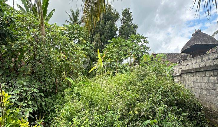 TANAH ZONA KUNING HARGA MURAH DI LODTUNDUH UBUD 2