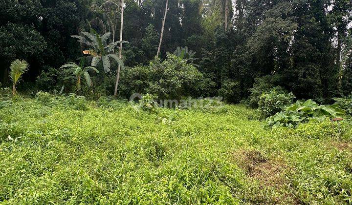 TANAH VIEW SUNGAI DAN HUTAN ZONA KUNING HARGA MURAH 1