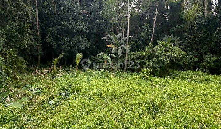 TANAH VIEW SUNGAI DAN HUTAN ZONA KUNING HARGA MURAH 2