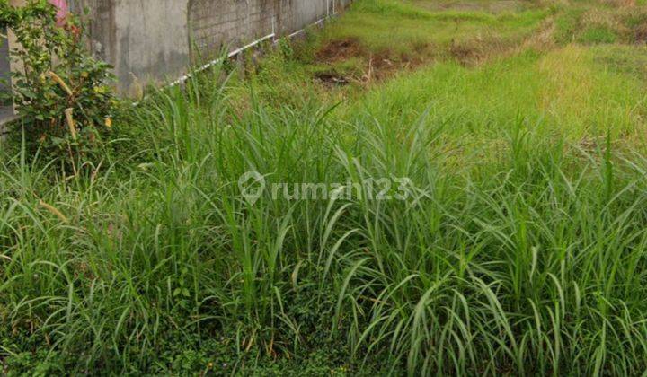 LAND SIDE THE ROAD VIEW RICE FIELDS SUITABLE FOR SHOP AND CAFE 2