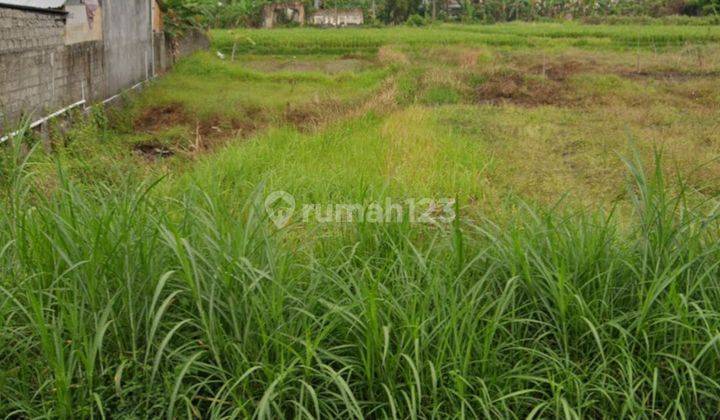 LAND SIDE THE ROAD VIEW RICE FIELDS SUITABLE FOR SHOP AND CAFE 1