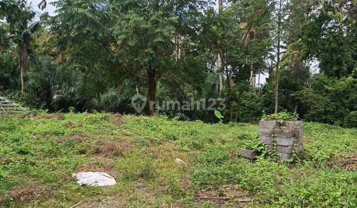 TANAH VIEW LEMBAH DAN SUNGAI KEREN DEPAN RUSTER TEBONGKANG UBUD  1