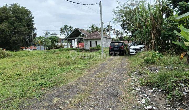 TANAH VIEW SAWAH LINGKUNGAN VILLA ZONA KUNING SIAP BANGUN VILLA  1