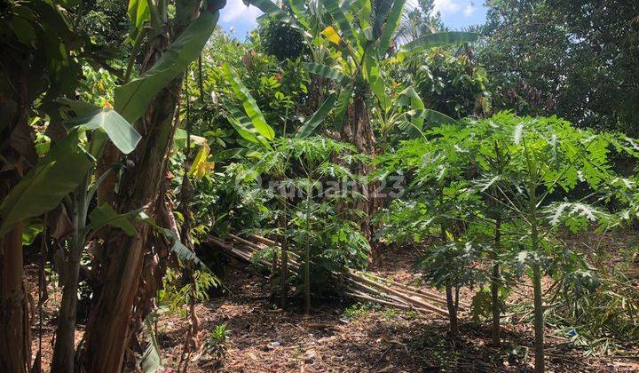 TANAH ZONA KUNING SIAP BANGUN VILLA RENTAL DI UBUD  1