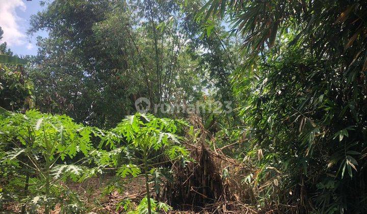 TANAH ZONA KUNING SIAP BANGUN VILLA RENTAL DI UBUD  2