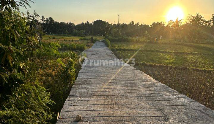 TANAH DEKAT BYPASS DAN PANTAI SABA COCOK VILLA RENTAL 1