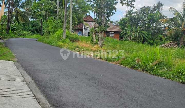 Land in Pink Zone on Main Road with Forest River View Cool