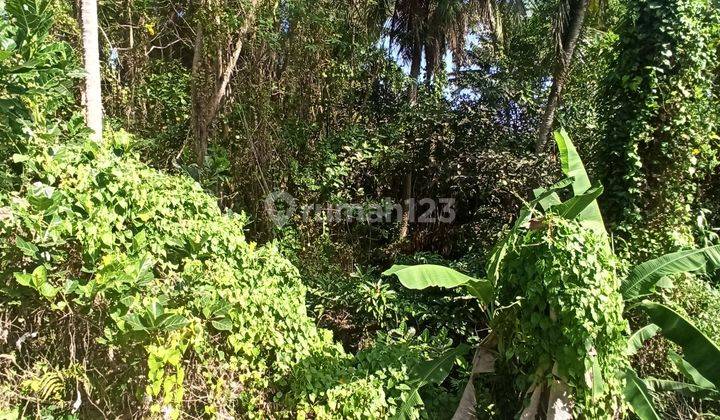 Tanah Sewa View Sungai Hutan Sawah Keren Cocok Vila  1