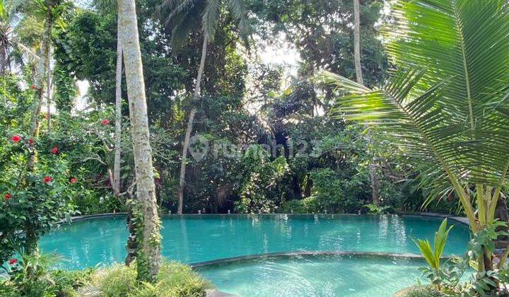 Vila Besar View Super Keren Ubud Central Harga Murah  1