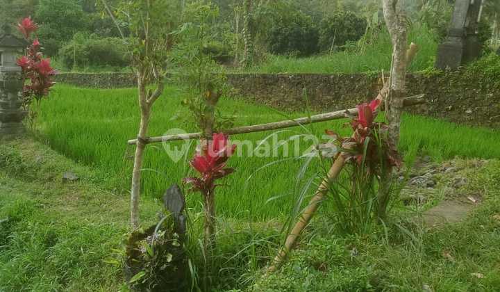 Cheap Land in North Ubud with Great View, Ideal for Investment