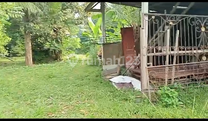 Yellow Zone Land River View Forest Suitable Villa