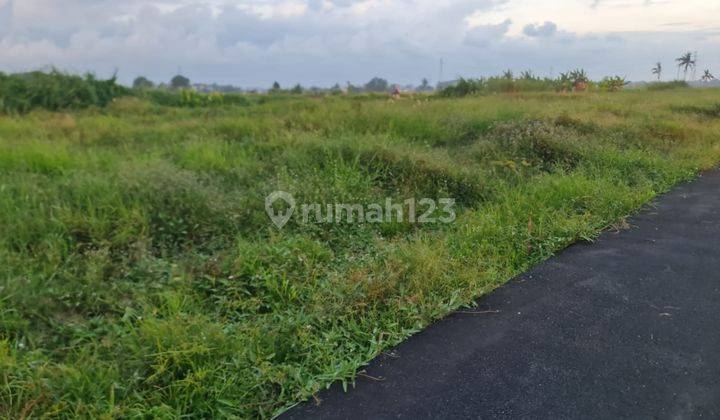 Tanah Murah Siap Bangun Di Kapal Badung Harga Murah 1