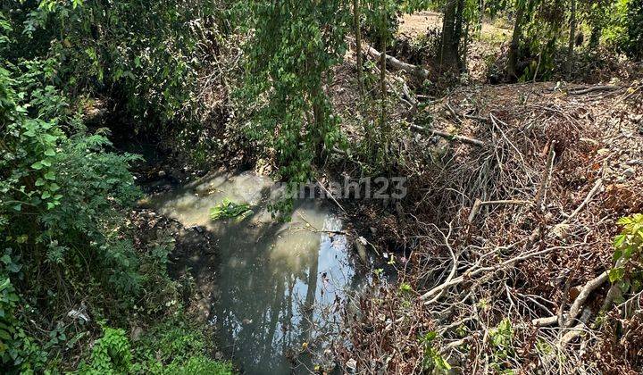 Tanah Dekat Pantai View Sungai Dan Sawah Cocok Investasi 1