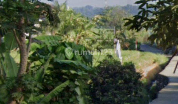 Tanah Murah Dekat Tumbak Bayuh Cocok Investasi View Sawah  2