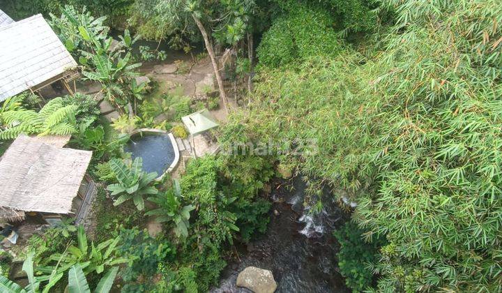 COOL LOS SUNGAI LAND SUITABLE FOR RESTAURANT OR VILLA 1