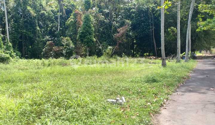 Tanah Super Murah View Hutan Sungai Keren