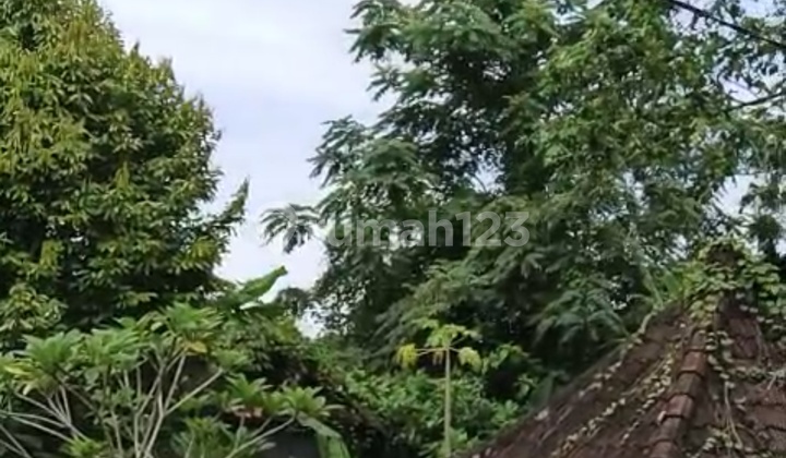 Yellow Zone Land 8 Meter Road Suitable for Rental Villa