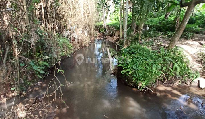 TANAH LOS SUNGAI HUTAN JALAN MOBIL LINGKUNGAN VILLA 2