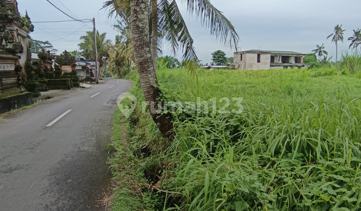 Land by the Road with Rice Field View in a Cool Villa Neighborhood